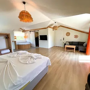 https://gunes-boutique-otel.turkeyfethiyehotels.com